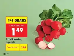 Biedronka Rzodkiewka, pęczek oferta