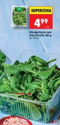 Biedronka Młode liście mix oferta