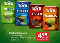 Makro Herbata liściasta Loyd różne rodzaje oferta