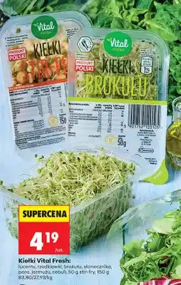 Biedronka Kiełki rzodkiewki oferta