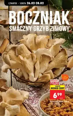 Biedronka Boczniak oferta