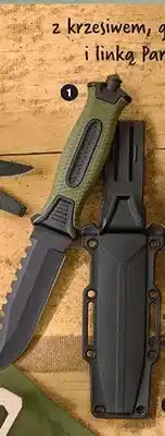 Biedronka Nóż taktyczny z pokrowcem oferta