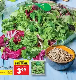 Biedronka Mieszanka sałat z roszponką oferta