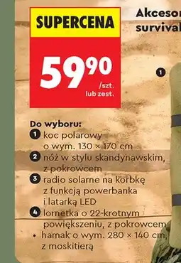 Biedronka Hamak z moskitierą, 280x140 cm oferta