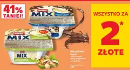 Kaufland Jogurt Mix różne rodzaje oferta