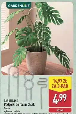ALDI Podpórki do roślin 40 x 20 cm złote Gardenline oferta