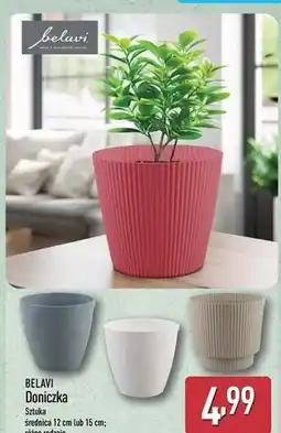 ALDI Doniczka 15 cm Belavi oferta