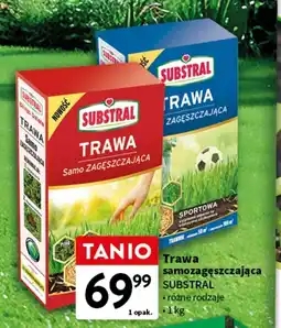 Intermarche Trawa samozagęszczająca renowacyjna Substral oferta