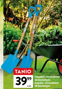 Intermarche Łopata oferta