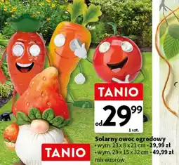 Intermarche Owoc ogrodowy solarny 29 x 15 32 cm oferta