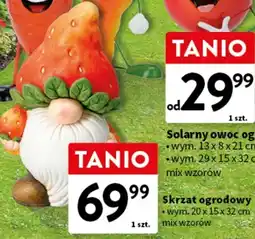 Intermarche Skrzat ogrodowy 20 x 15 32 cm oferta