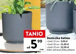 Intermarche Doniczka satina 25 cm oferta