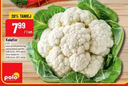 Polomarket Kalafior oferta