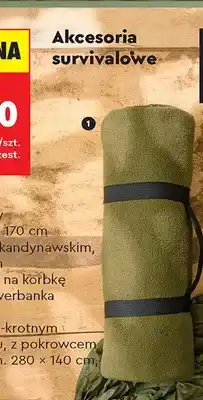 Biedronka Koc polarowy oferta