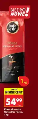 Biedronka Kawa ziarnista Forza strong & intense oferta