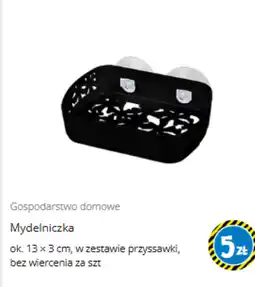 Tedi Mydelniczka oferta