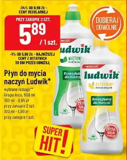 Polomarket Płyn do mycia naczyń Ludwik Grupa Inco oferta