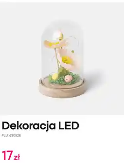 Pepco Dekoracja LED oferta