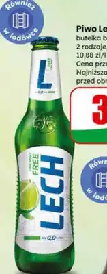 Dino Piwo Free 2 rodzaje oferta