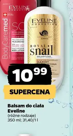 Netto Balsam do ciała Eveline oferta