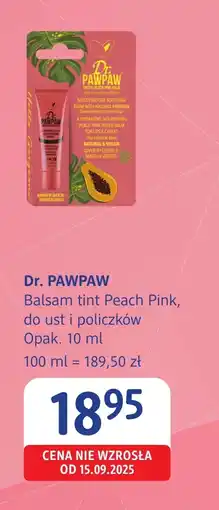 dm drogerie markt Balsam do ust Dr. pawpaw oferta
