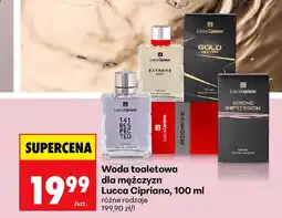 Biedronka Woda toaletowa dla mężczyzn Lucca Cipriano oferta