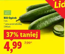 Lidl Ogórek Bio oferta