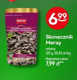 Żabka Słonecznik Meray oferta
