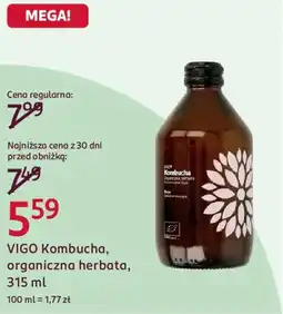 Rossmann VIGO Kombucha organiczna herbata, oferta