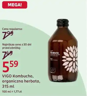 VIGO Kombucha organiczna herbata,