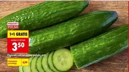 Biedronka Ogórek szklarniowy polski , szt oferta