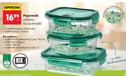 Biedronka Pojemnik szklany na żywność oferta