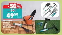 Biedronka GOLD-GARDEN Zestaw narzędzi ogrodowych 6 elementów oferta