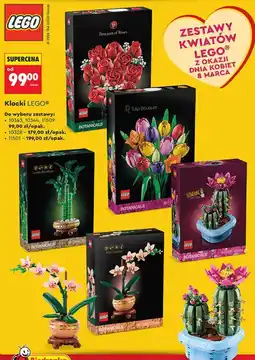 Biedronka Klocki Lego (zestawy do wyboru) oferta