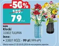 Biedronka Baka Klocki 33801 RÓŻE oferta