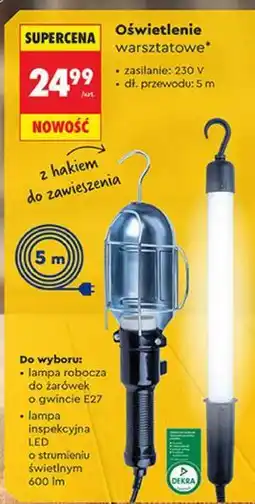 Biedronka Oświetlenie warsztatowe (Lampa robocza, inspekcyjna) oferta