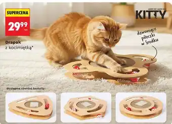 Biedronka Drapak z kocimiętką Kitty oferta
