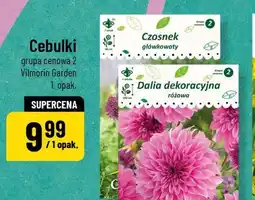 Polomarket Cebulki grupa cenowa 2 Vilmorin Garden oferta