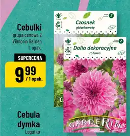 Polomarket Cebulki Vilmorin Garden oferta