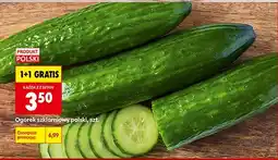 Biedronka Ogórek szklarniowy polski 1 szt oferta