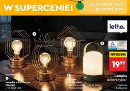 Biedronka Lampka z uchwytem oferta