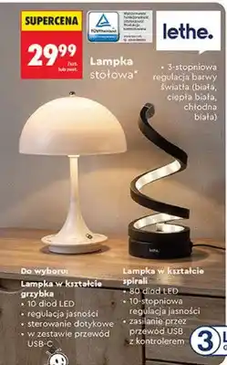Biedronka Lampka w kształcie spirali oferta