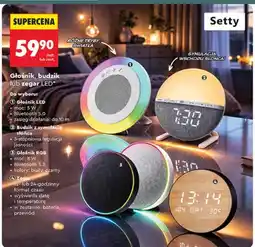 Biedronka Zegar oferta