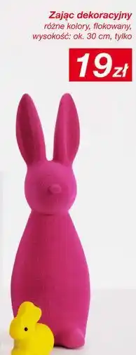 KiK Zając dekoracyjny flokowany 30 cm oferta