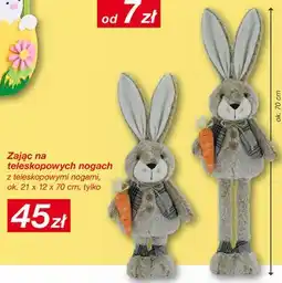 KiK Zając na teleskopowych nogach oferta