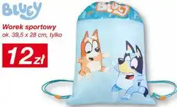 KiK Worek sportowy Bluey oferta
