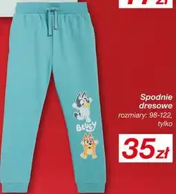 KiK Spodnie dresowe Bluey oferta