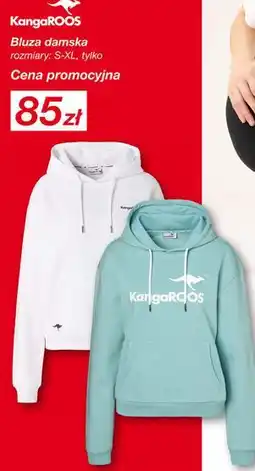 KiK Bluza damska KangaROOS oferta