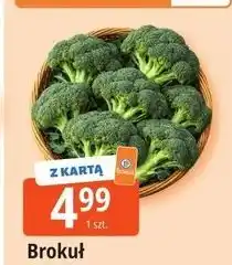 E.Leclerc Brokuł oferta