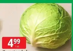 E.Leclerc Kapusta młoda oferta